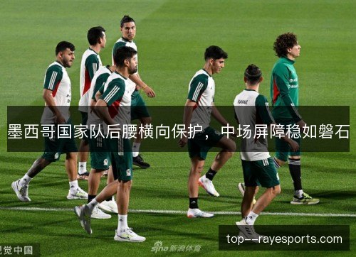 墨西哥国家队后腰横向保护，中场屏障稳如磐石